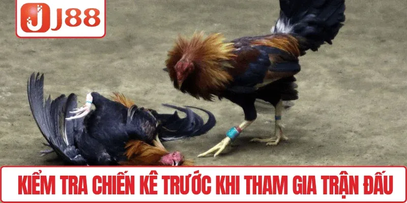 Kiểm tra chiến kê trước khi tham gia trận đấu